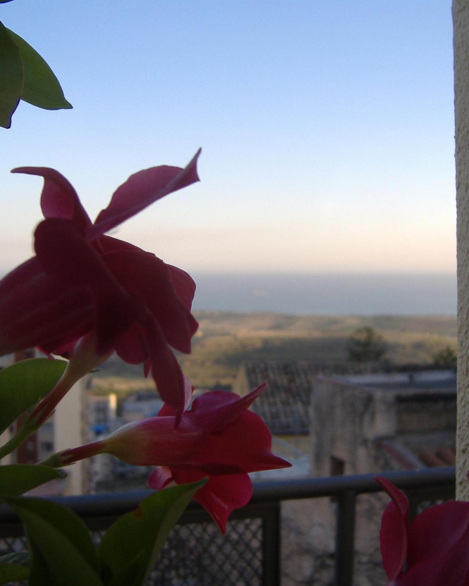 I Tetti Di Girgenti Agrigento Exterior foto